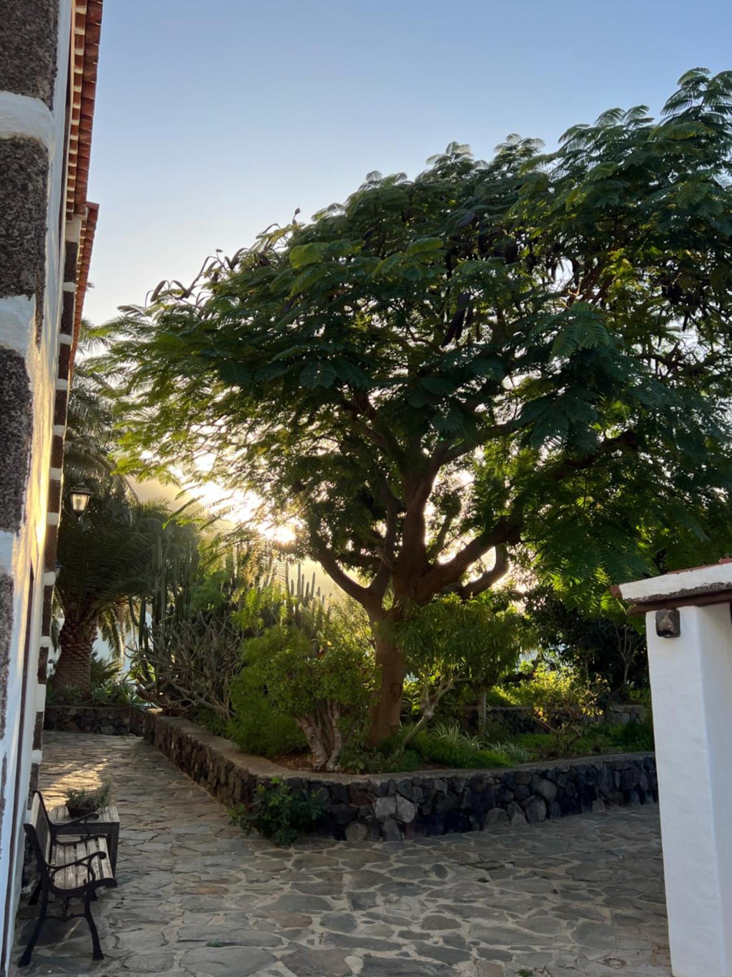 Finca Exclusiv La Mareta Agaete  Exteriér fotografie