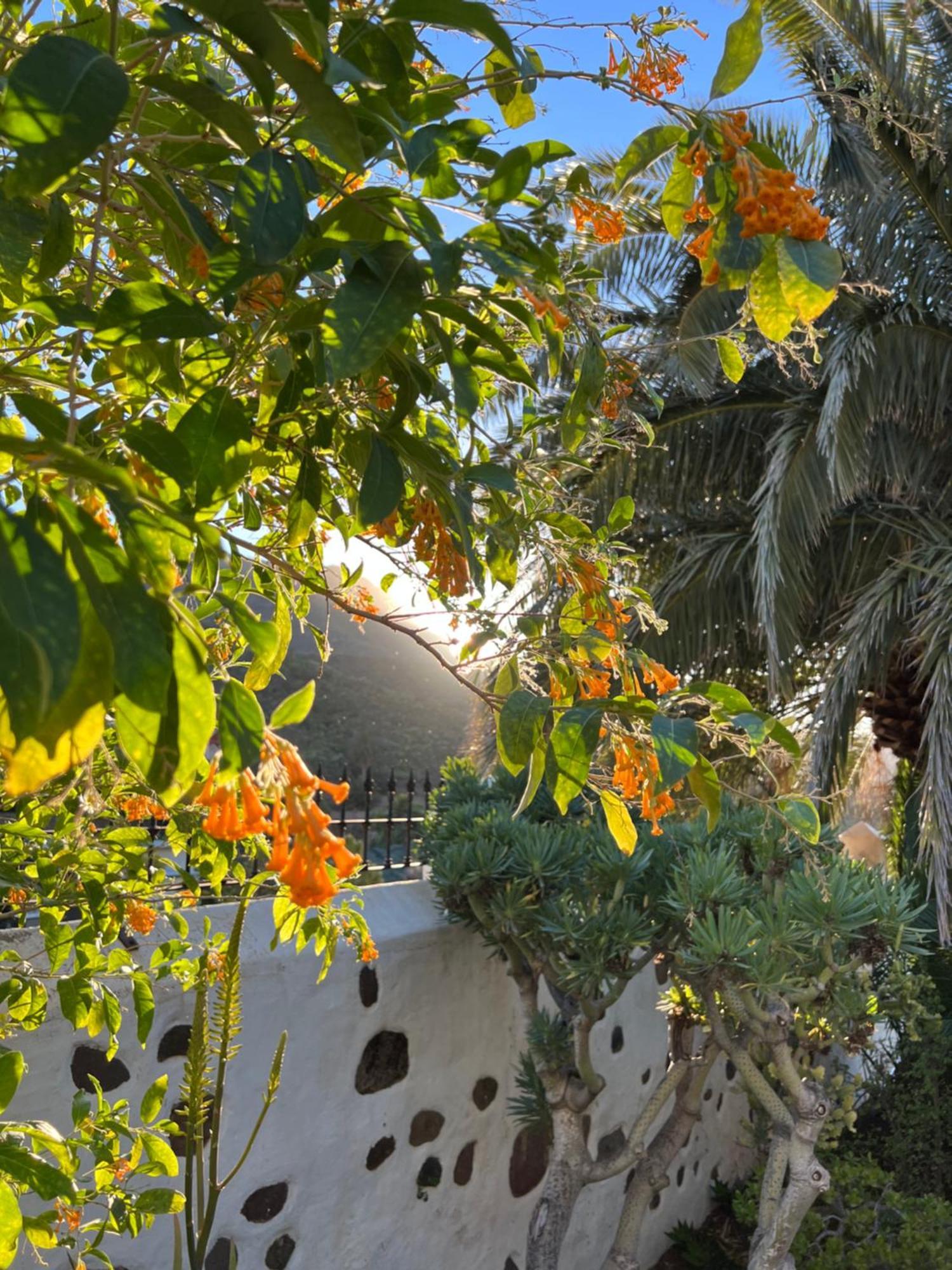 Finca Exclusiv La Mareta Agaete  Exteriér fotografie