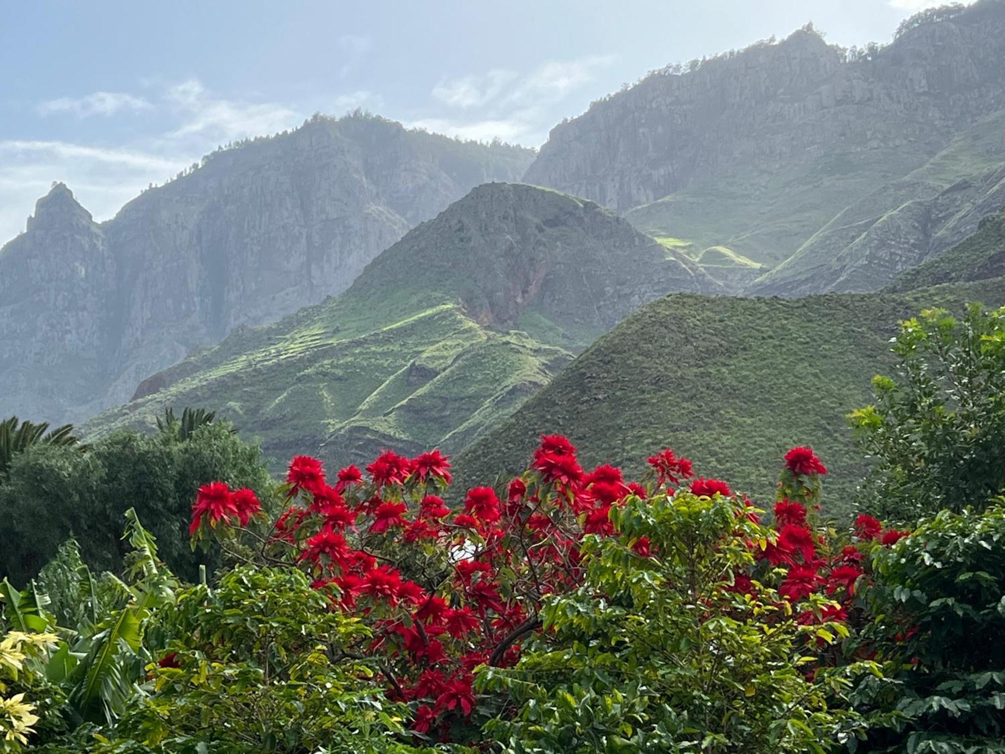 Finca Exclusiv La Mareta Agaete  Exteriér fotografie