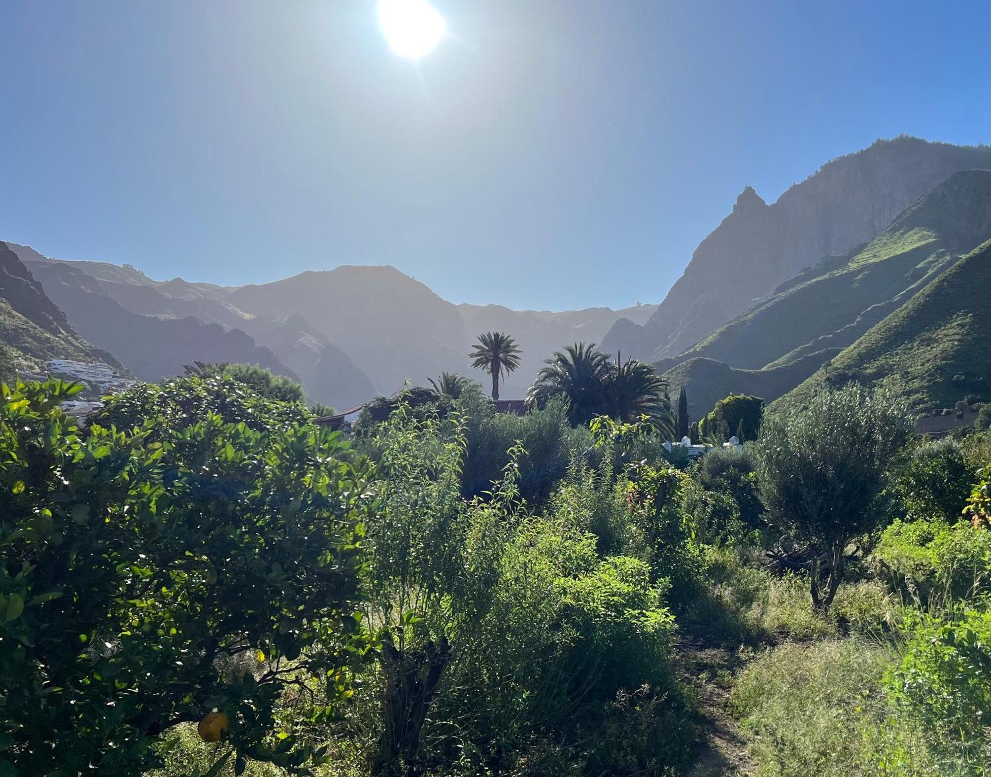 Finca Exclusiv La Mareta Agaete  Exteriér fotografie